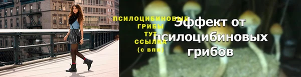 герыч Покачи
