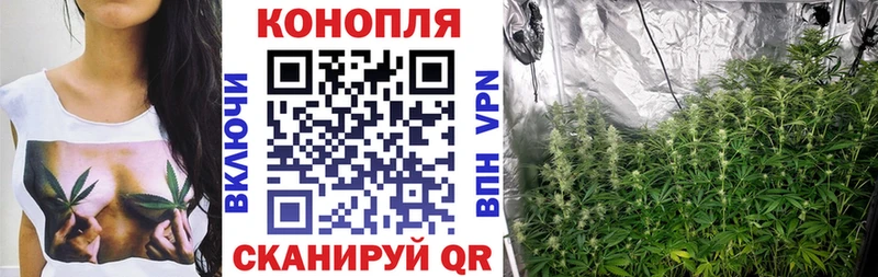 Марихуана планчик закладки Шиханы