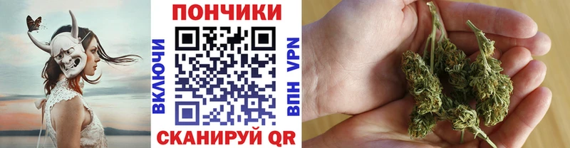 Бошки Шишки сатива Шиханы